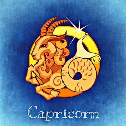 Capricorn 2020 Horoscope